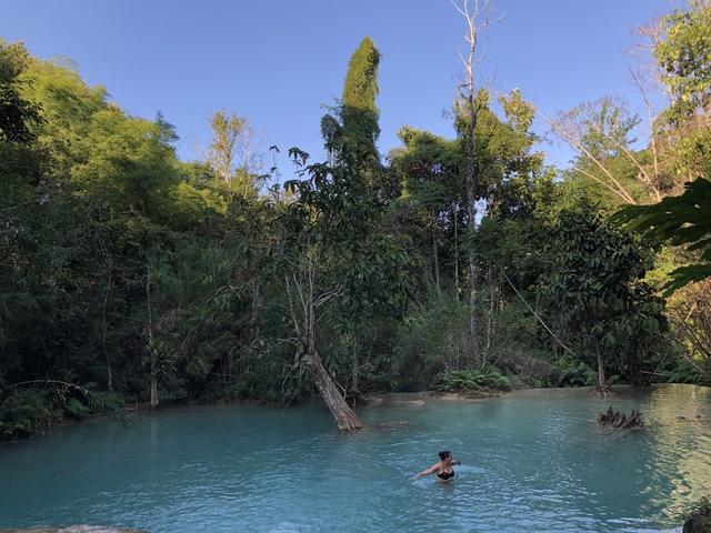 Forest and blue water in a secluded area under a clear blue sky.