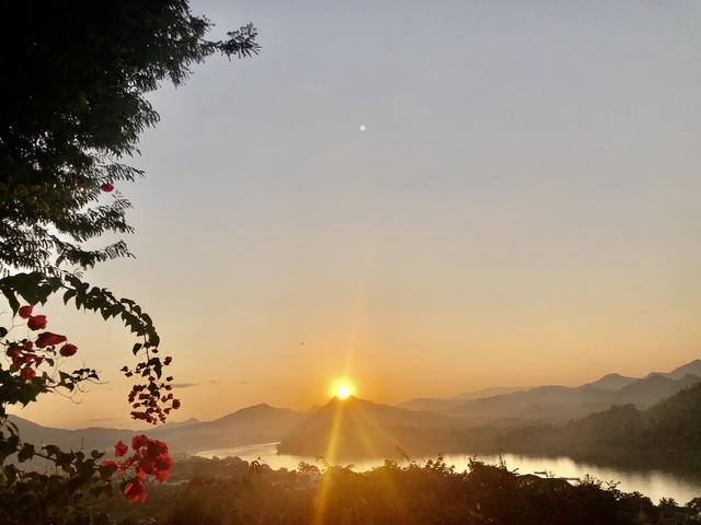       Sunrise over mountains with clear sky and silhouette of flowers.
  