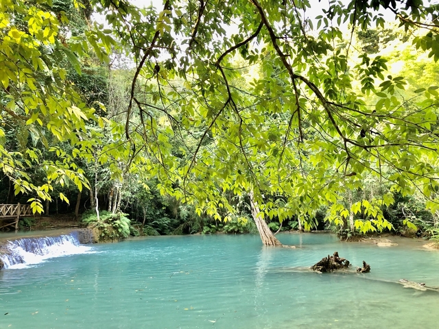       Waterfall cascading into a serene pool surrounded by greenery.
  