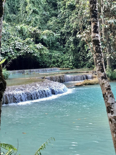       Stunning turquoise waterfalls cascading through a forest.
  