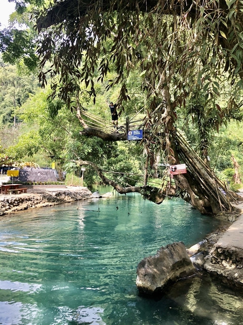       Person balancing on a bamboo bridge over a turquoise pool.
  