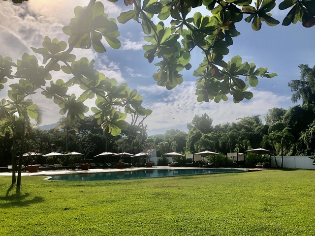       Garden with a swimming pool and tropical trees.
  