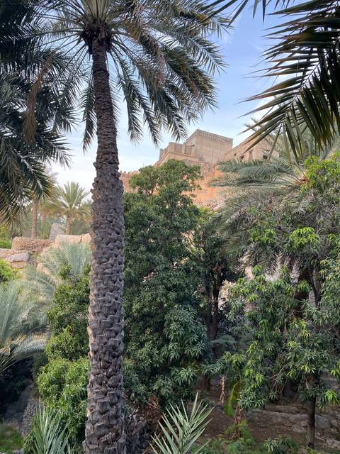 Palm trees and garden outside a historic building.