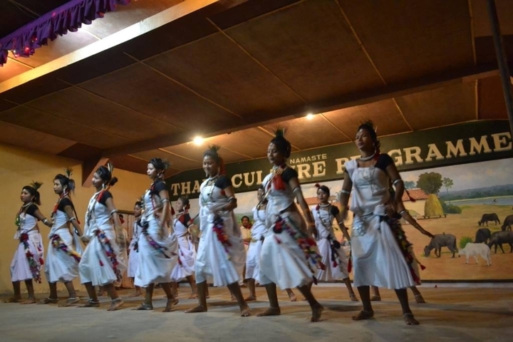 Cultural dance performance on stage.
