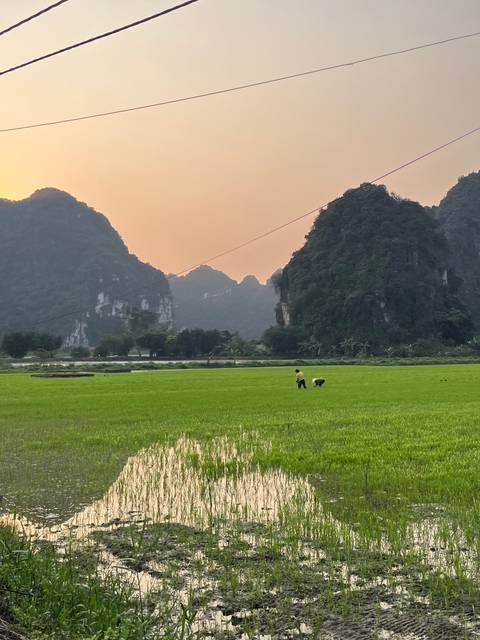       Field with mountains in the background during sunset.
  