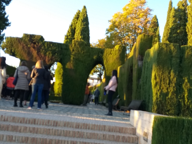 Blurred garden scene with trees and arches.