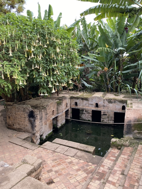       Old stone structure surrounded by greenery and trees.
  