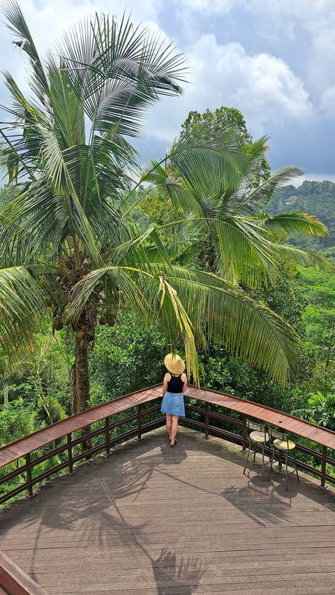 Person overlooking lush tropical greenery.