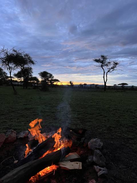       A campfire burning in an open field with trees and a sunset sky.
  