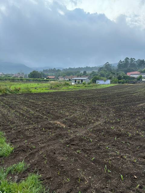 A wide view of agricultural fields under a cloudy sky.