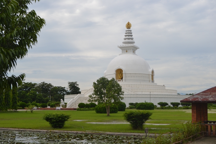 White stupa surrounded by greenery.