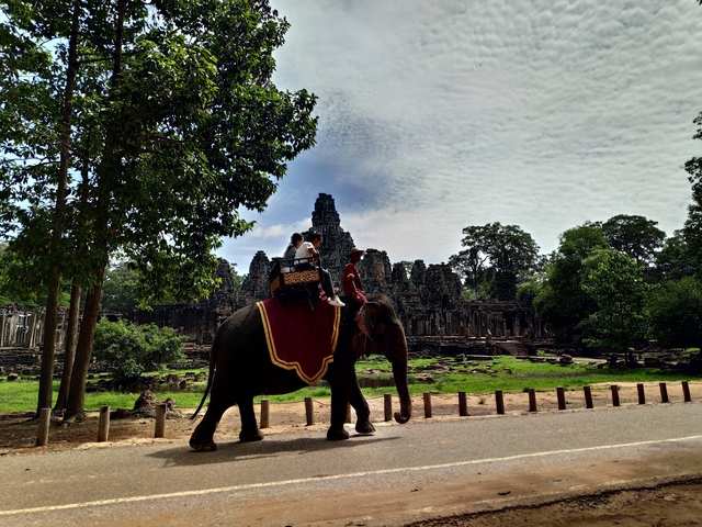       Elephant carrying tourists with ancient ruins in the background.
  