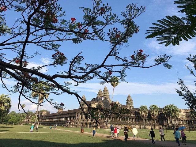       Angkor Wat temple complex with trees and flowers in the foreground.
  