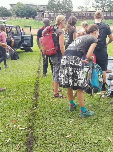       5 Days Wildlife And Gorilla Tracking Safari customer review photo 
  