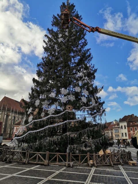      Large decorated Christmas tree in town square.
  