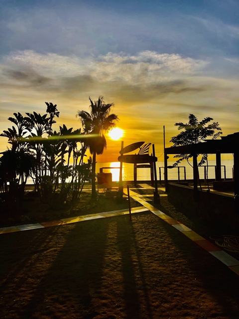 Sun setting over the ocean with tropical silhouettes.