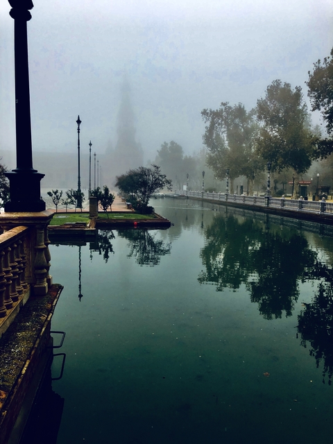 Mist over a scenic lake in a park setting.