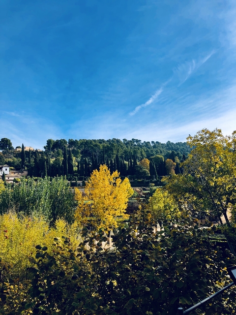 Autumnal landscape with trees and hill.