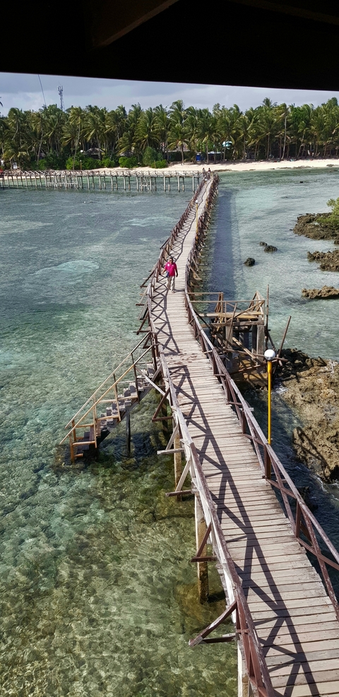       Person walking on a wooden seaside boardwalk.
  