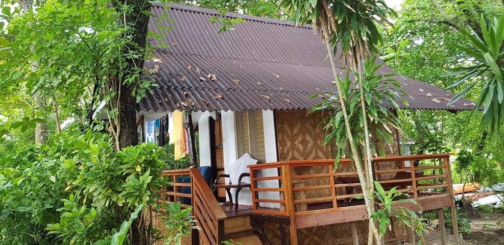 Cottage surrounded by lush green trees.