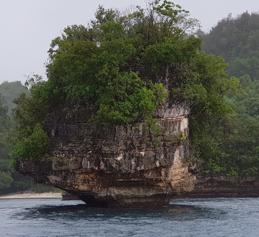 Rocky cliff with green foliage.