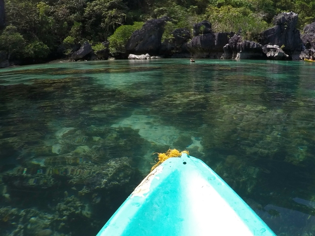       View from a kayak in clear water.
  