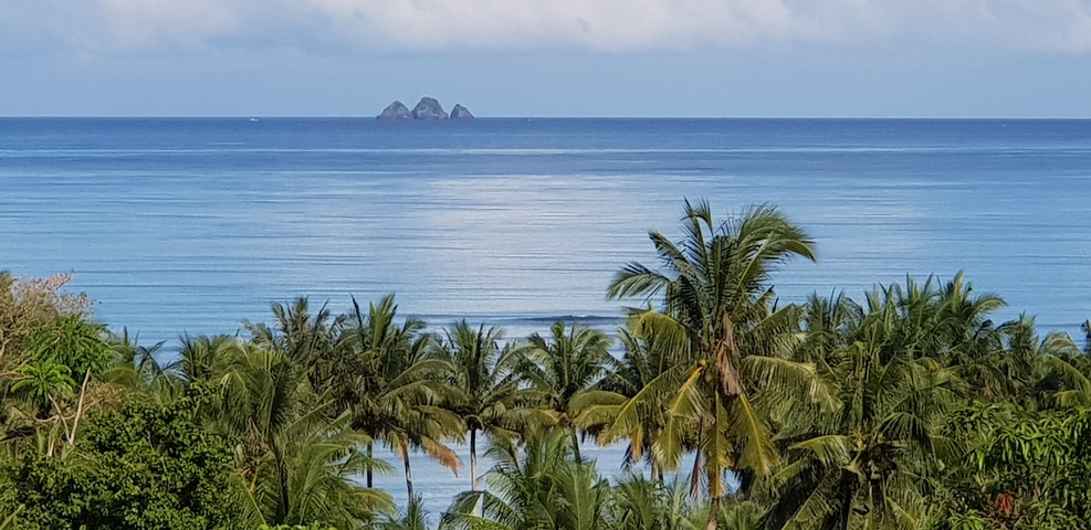       Palm tree-lined coast with distant rock formations in a calm sea.
  