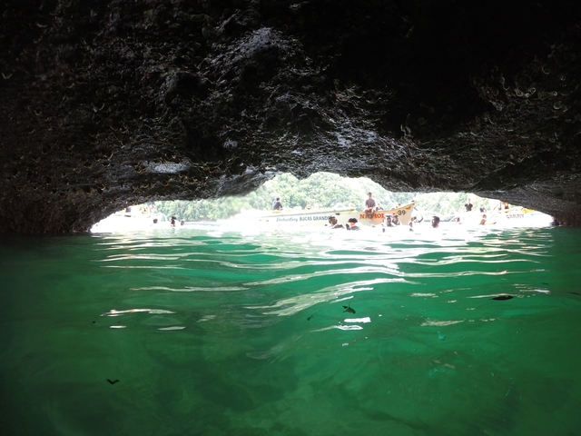       People swimming near a cave opening in the water.
  