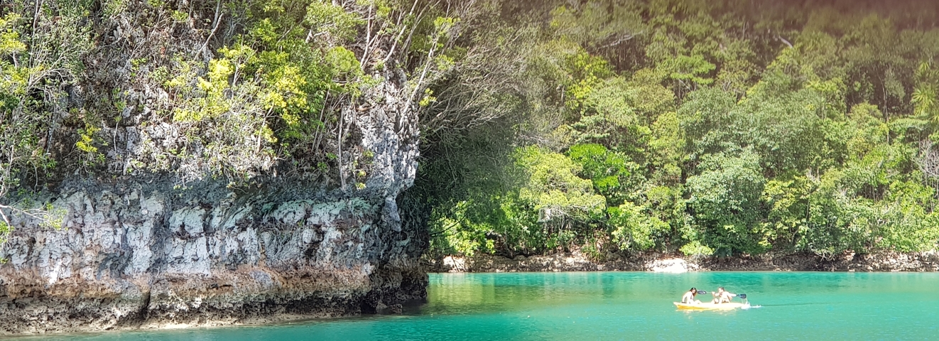       Canoe in a clear emerald water lagoon.
  