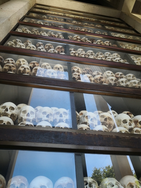       Display of skulls behind glass.
  