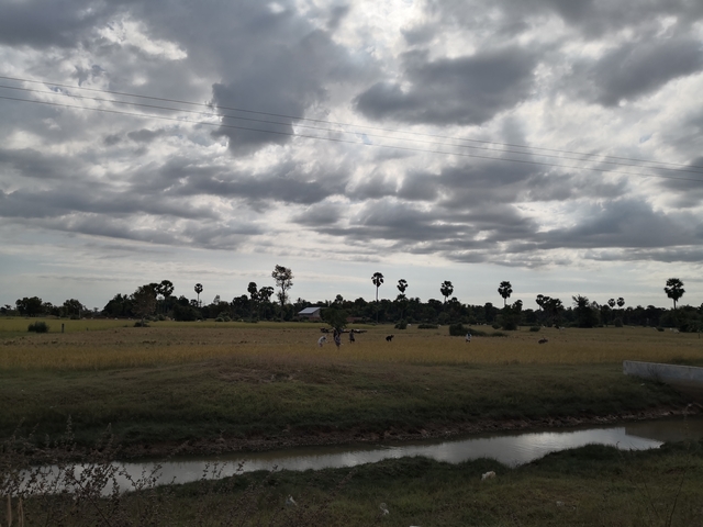       People in a rural landscape.
  