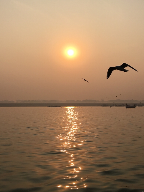 A serene sunset over a body of water with birds flying.