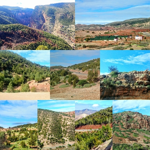      Collage showing various landscapes and terrains.
  