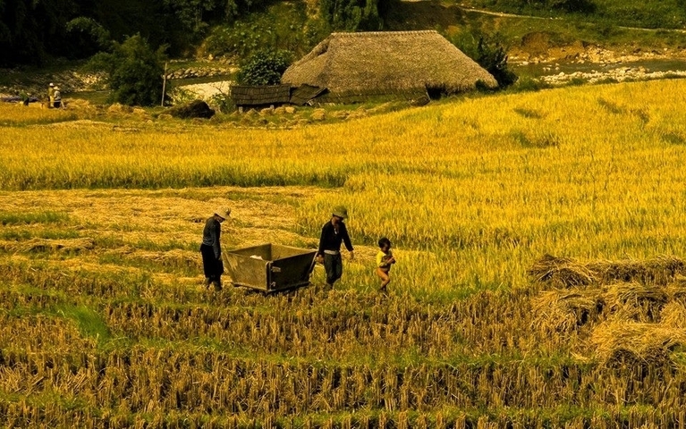 Klantbeoordelingsfoto van Het beste van het noordwesten van Vietnam - een gemakkelijke trektocht - 14 dagen 