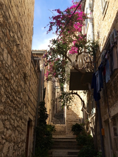 Narrow alleyway with stone walls and blooming flowers.