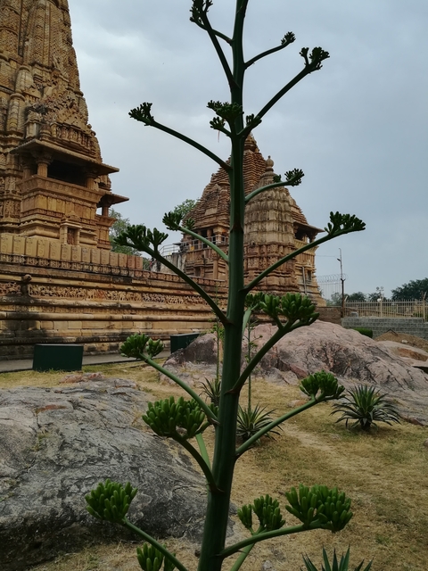 Itinerary Image 3
