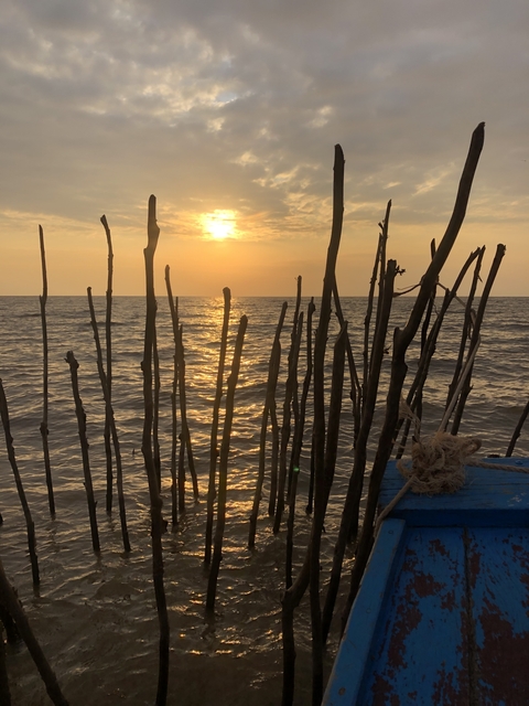       Sunset by the sea with wooden sticks in the foreground.
  