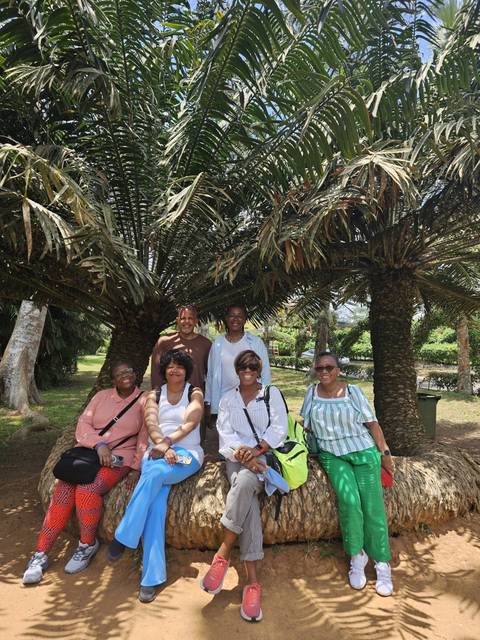 Group of people sitting under a large palm tree.