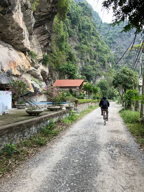       Person cycling on a path with lush surroundings.
  