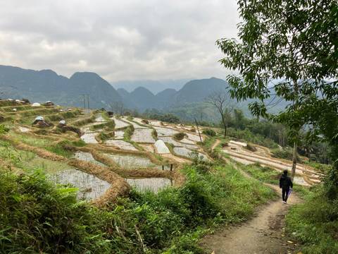       Rice terraces reflected in water with mountains in the background.
  