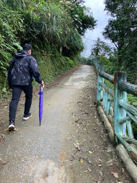       Person walking on a path through dense greenery.
  