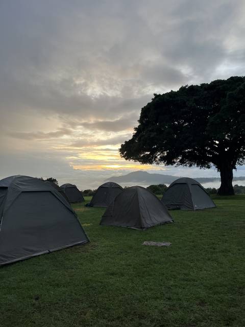 Tents set up on a grassy field under a cloudy sky.