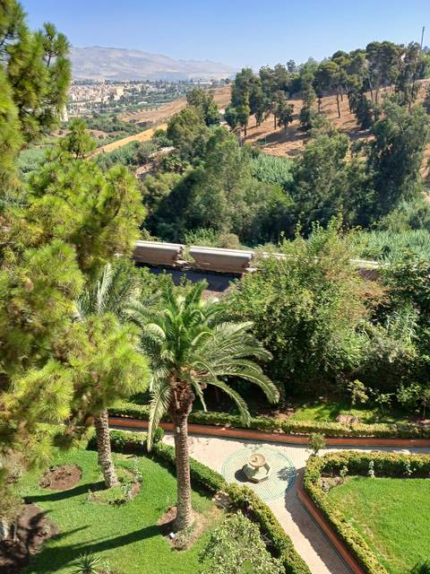       Scenic view of a garden with trees, pathway, and hills in the background.
  