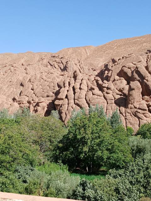       Rock formations and greenery against a clear sky.
  
