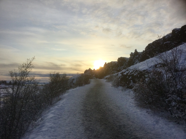 Snowy path with a setting sun visible through the trees.