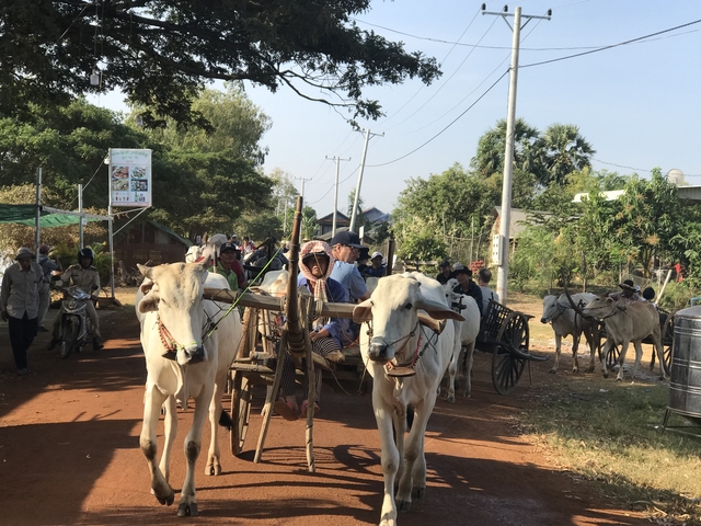 People riding ox carts on a dirt road.