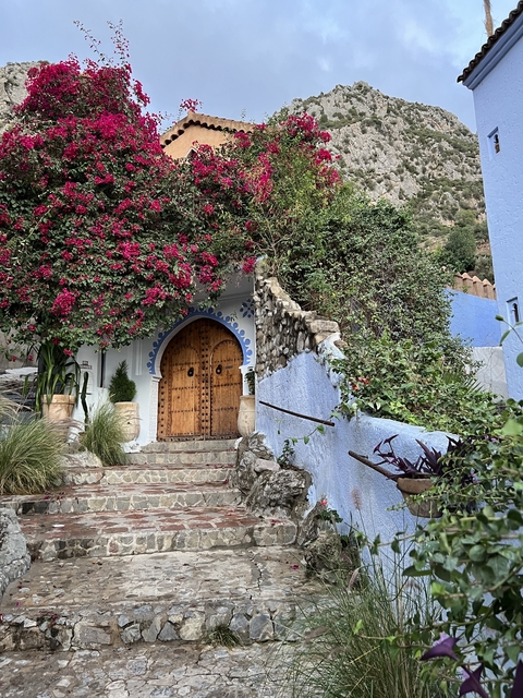Traditional door surrounded by colorful flowers and blue walls.