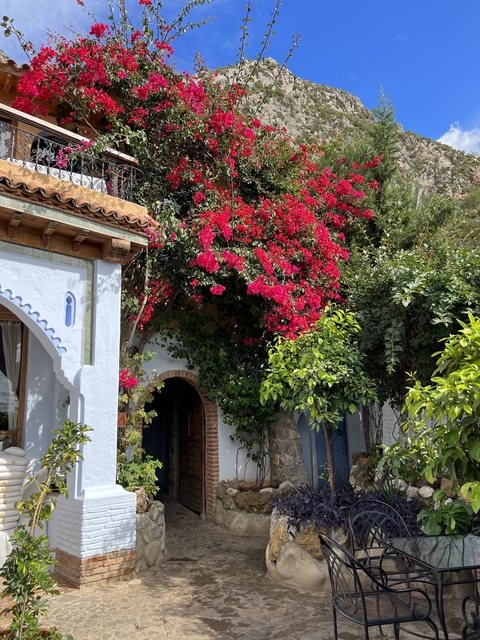      Charming garden with red flowers over a white building facade.
  