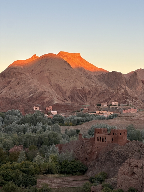       Desert landscape with red mountains and green foliage.
  