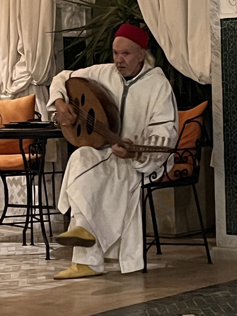 Person playing a traditional musical instrument in a cafe setting.